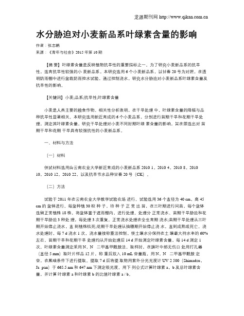 水分胁迫对小麦新品系叶绿素含量的影响