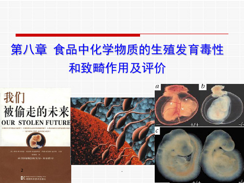 食品中化学物质的生殖发育毒性和致畸作用及评价ppt课件