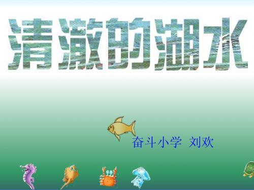 二年级上册课件27、清澈的湖水