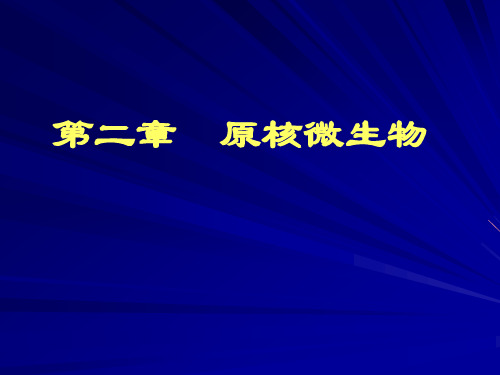 微生物学 第二章 原核生物