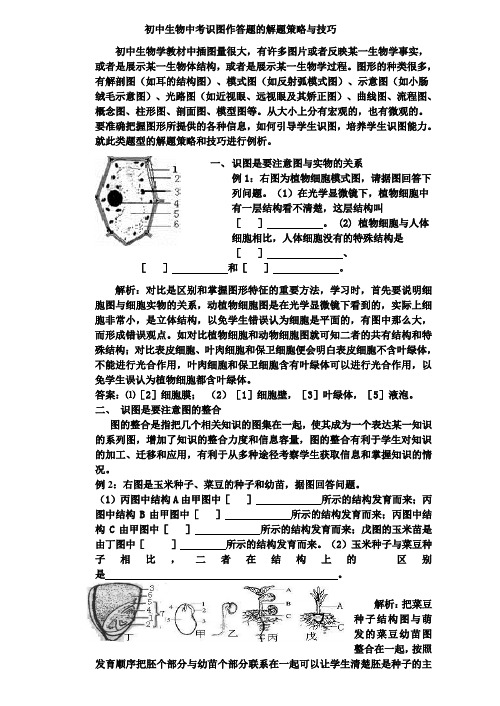 初中生物中考识图作答题的解题策略与技巧