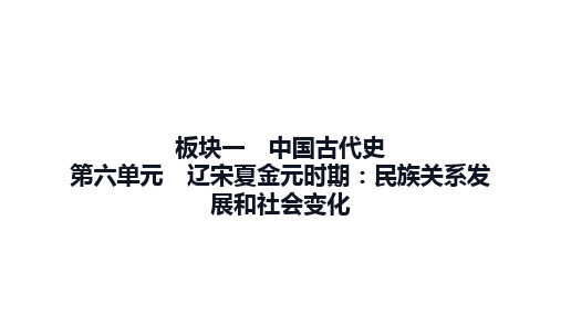 辽宋夏金元时期：民族关系发展和社会变化+课件++2025年海南省中考历史备考一轮复习