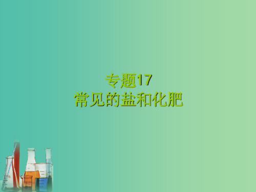 中考化学专题复习 专题17 常见的盐和化肥 新人教版