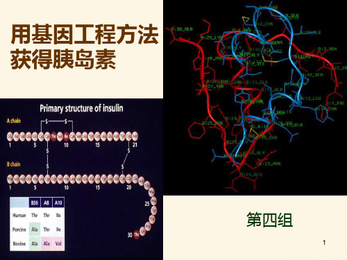 基因工程制胰岛素(生工版)