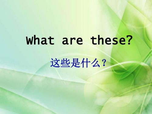 广东版(开心)三年级下册《Unit 6 What are these》ppt公开课课件2[精品]