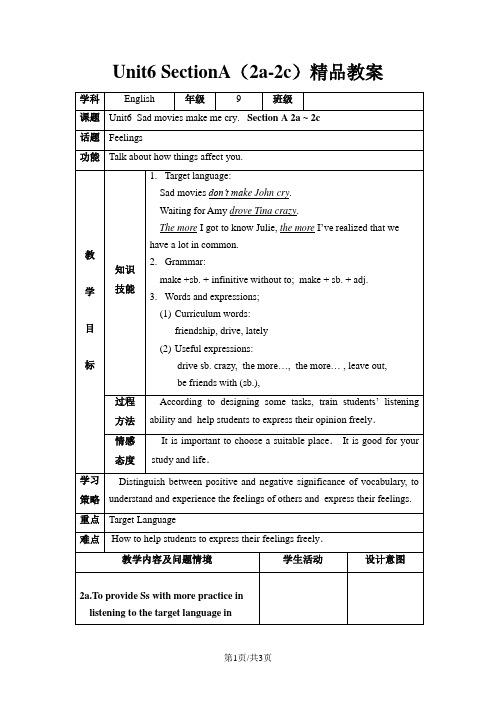 鲁教版九年级上册英语Unit6_SectionA(2a2c)精品教案