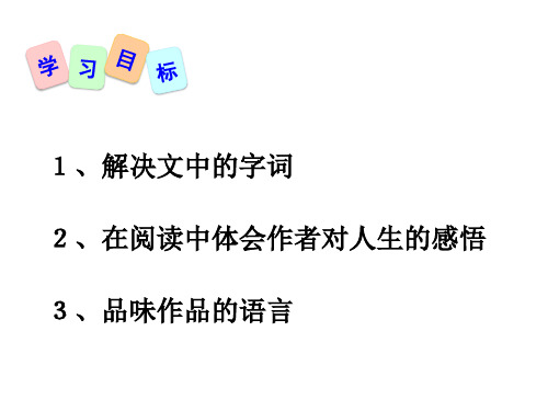 紫藤萝瀑布区优质课一等奖课件