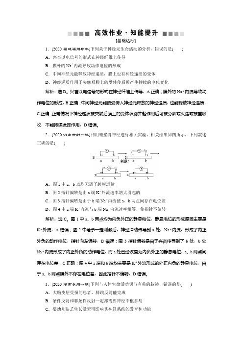 2021版高考生物(人教版)一轮复习高效作业知能提升：第八单元 第24讲 通过神经系统的调节 Word版含解析