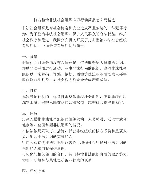 打击整治非法社会组织专项行动简报怎么写精选