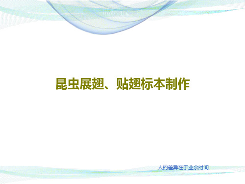 昆虫展翅、贴翅标本制作共20页