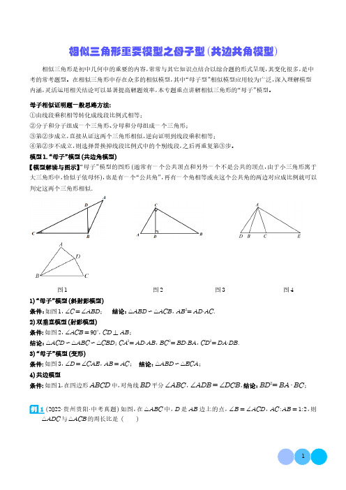 相似三角形重要模型之母子型(共边共角模型)-2024年中考数学常见几何模型及参考答案