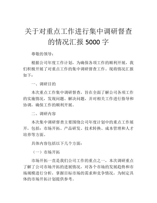 关于对重点工作进行集中调研督查的情况汇报5000字