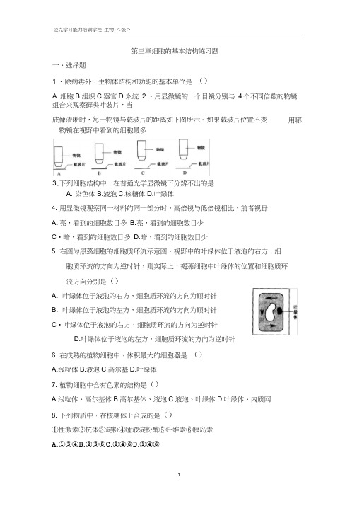 (完整版)第3章细胞的基本结构测试题高一生物必修1