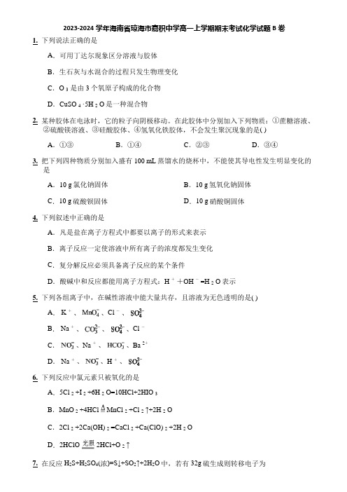 2023-2024学年海南省琼海市嘉积中学高一上学期期末考试化学试题B卷