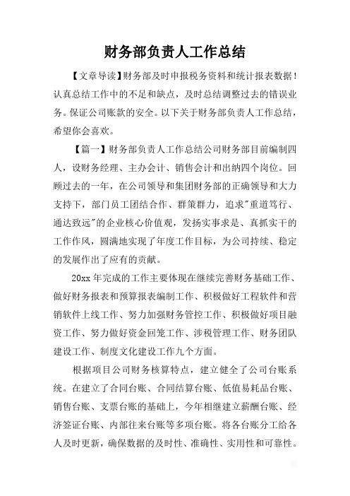 最新2019财务部负责人工作总结