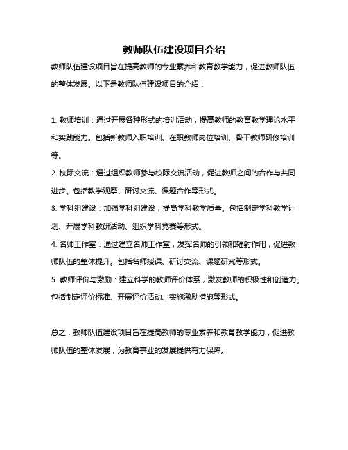 教师队伍建设项目介绍