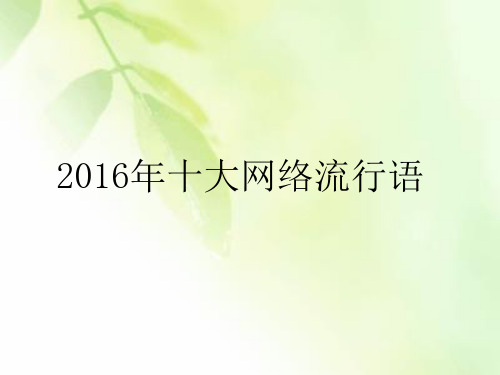 2016年网络流行语