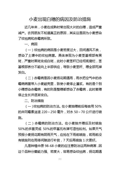 小麦出现白穗的病因及防治措施