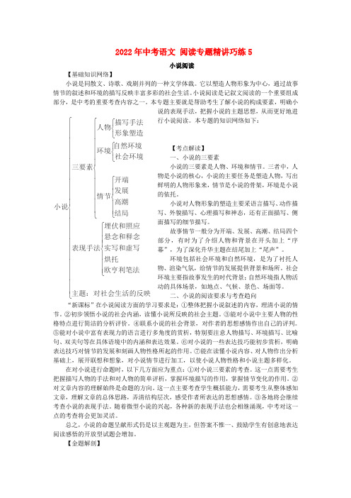 2022年中考语文 阅读专题精讲巧练5