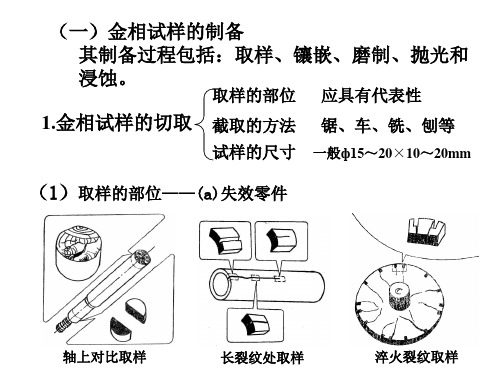 金相制样操作方法