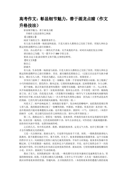 高考作文:彰显细节魅力,善于画龙点睛(作文升格技法)