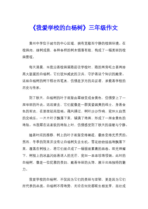 《我爱学校的白杨树》三年级作文