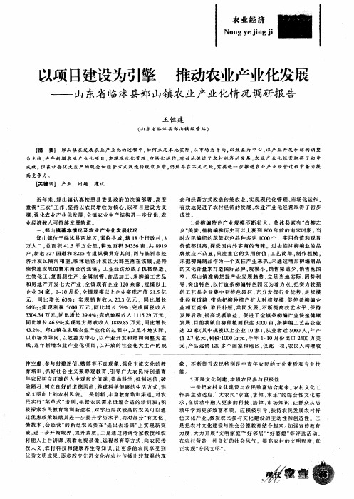 以项目建设为引擎  推动农业产业化发展——山东省临沭县郑山镇农业产业化情况调研报告