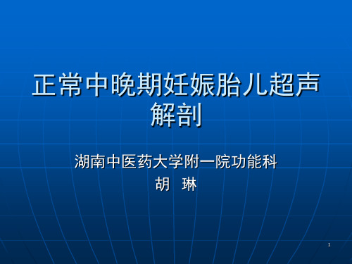 正常中晚期妊娠胎儿超声解剖PPT演示幻灯片