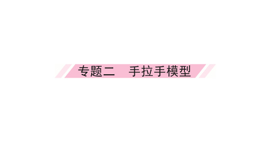 2024年广东九年级中考数学专题复习课件专题二 手拉手模型