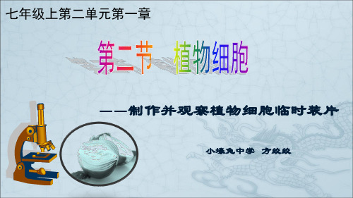 植物细胞——制作并观察植物细胞临时装片