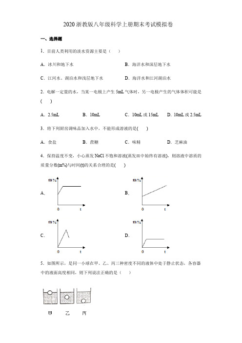 学年第一学期浙教版八年级科学上册 期末考试模拟卷(含解析)