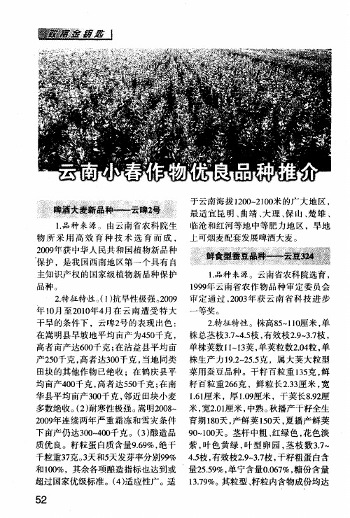云南小春作物优良品种推介