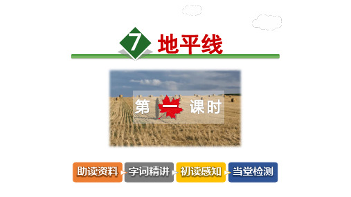 教科版六年级语文下册第四单元课件4全