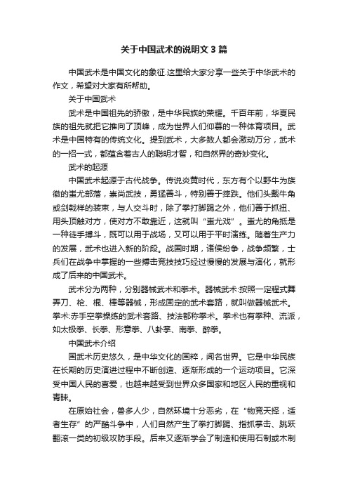 关于中国武术的说明文3篇