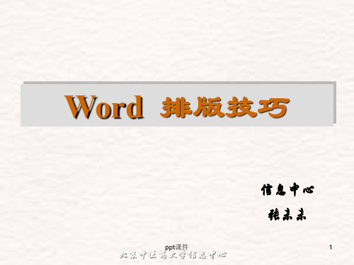 Word排版技巧  ppt课件