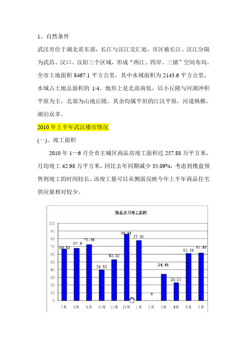 2010武汉房地产市场