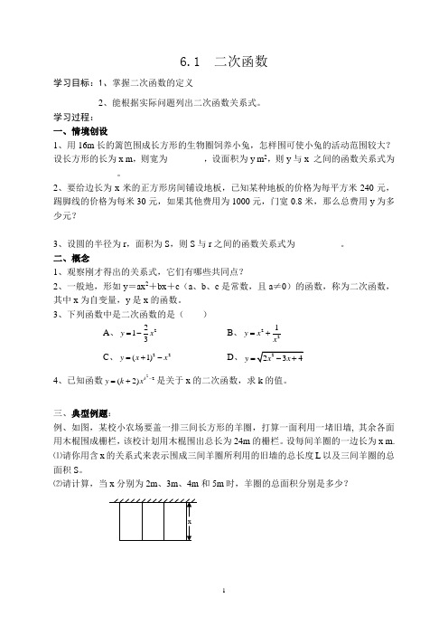 6.1  二次函数导学案