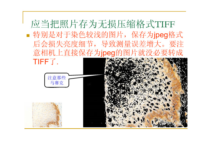 免疫组化定量分析-永诺生物-2