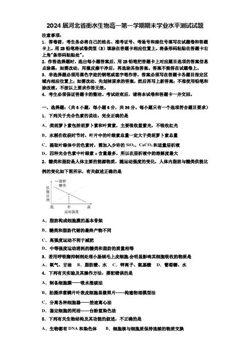 2024届河北省衡水生物高一第一学期期末学业水平测试试题含解析