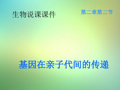 人教版生物八年级下册《基因在亲子代间的传递》说课课件