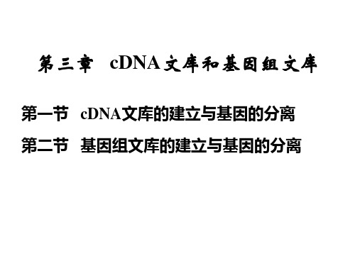 第三章   cDNA文库和基因组文库