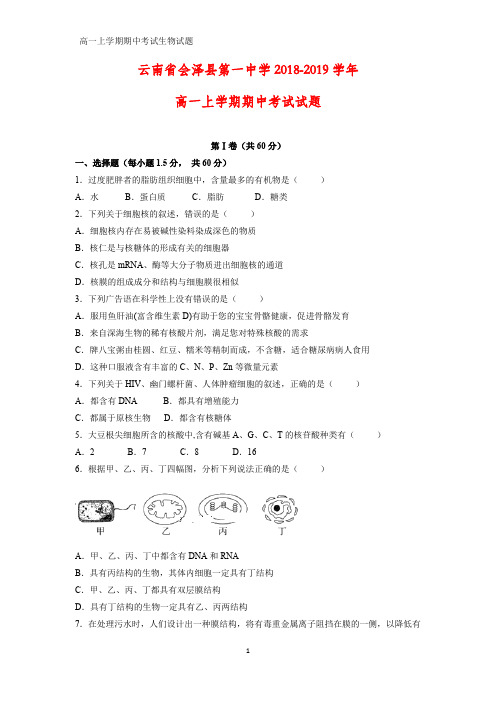 2018-2019学年云南省会泽县第一中学高一上学期期中考试生物试题