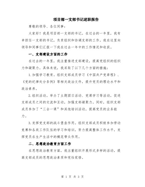 项目部一支部书记述职报告