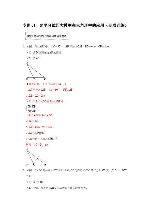 专题  角平分线四大模型在三角形中的应用(专项训练)(解析版)