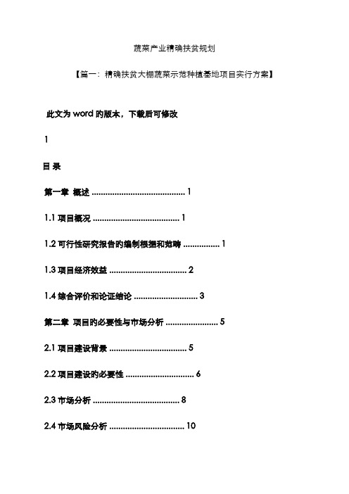 蔬菜产业精准扶贫规划