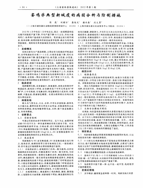 蛋鸡非典型新城疫的病因分析与防制措施