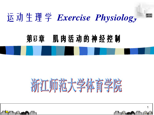 运动生理学ExercisePhysiology