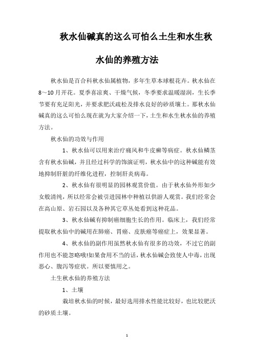 秋水仙碱真的这么可怕么土生和水生秋水仙的养殖方法