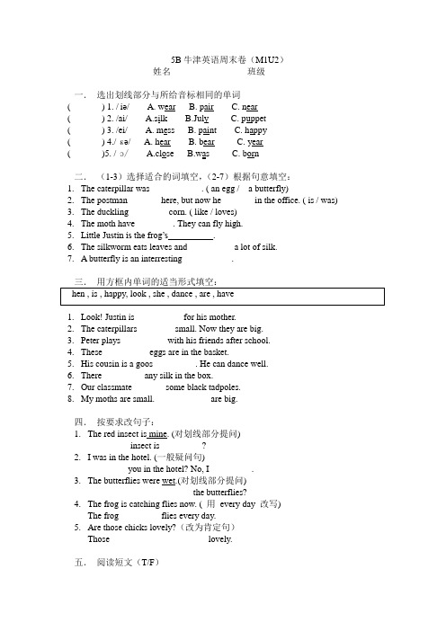 上海新教材5B牛津英语每周卷