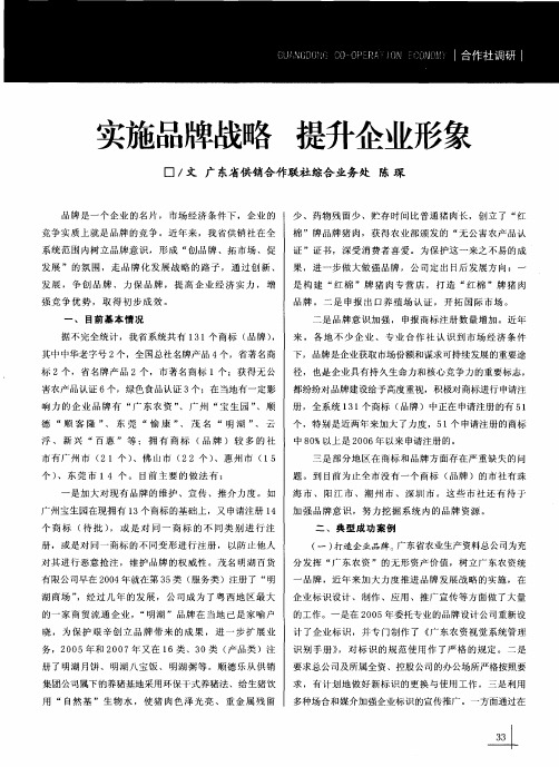 实施品牌战略 提升企业形象